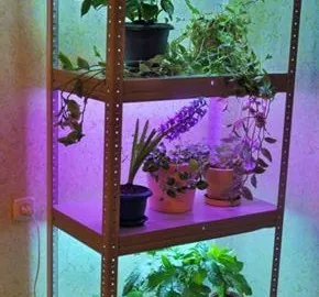 Делаем подсветку для комнатных цветов